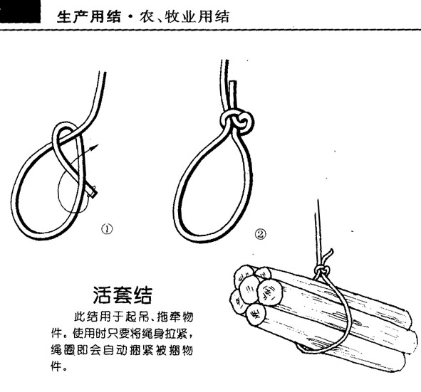 绳子的结法(图解) - 磨房