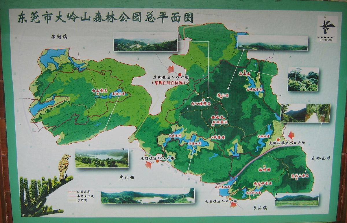            大岭山森林公园游览图