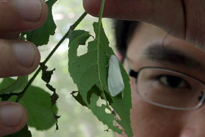 生物入侵对旅游业等的影响