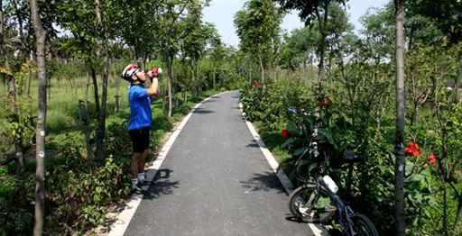 宝山区环区生态步行道探路骑游