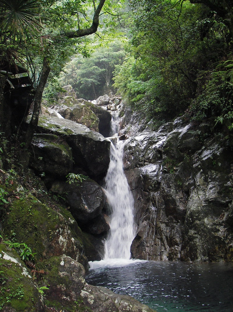 03 浙江松阳箬寮原始森林