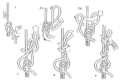 Mule Knot