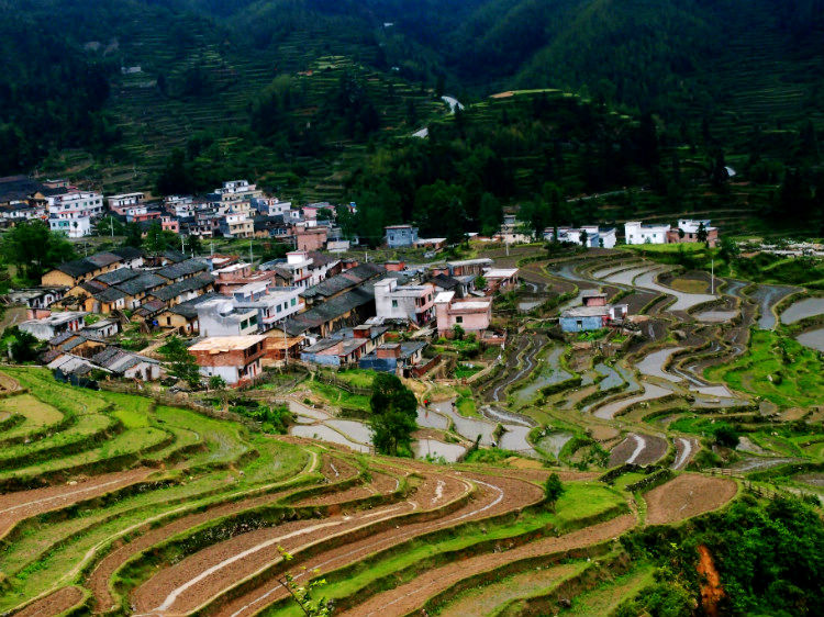 03 乐昌五山梯田,竹海作业贴