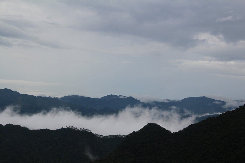 一次没有合照的穿越—0727肇庆鸡笼山—老鼎露营穿越作业贴