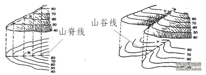 最弯处是指向高度高的方向,山脊线边上有大写字母"r",山谷线边上有大