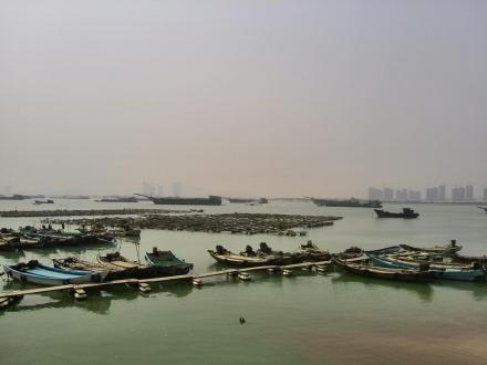 厦门琼头海鲜_厦门海鲜图片_海鲜自助餐