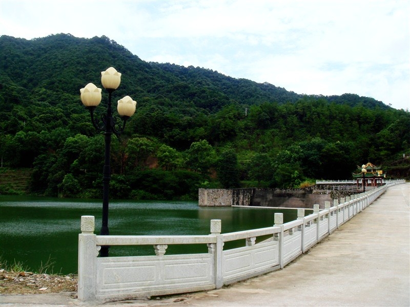 走向紫金县 白溪"鸡麻山"