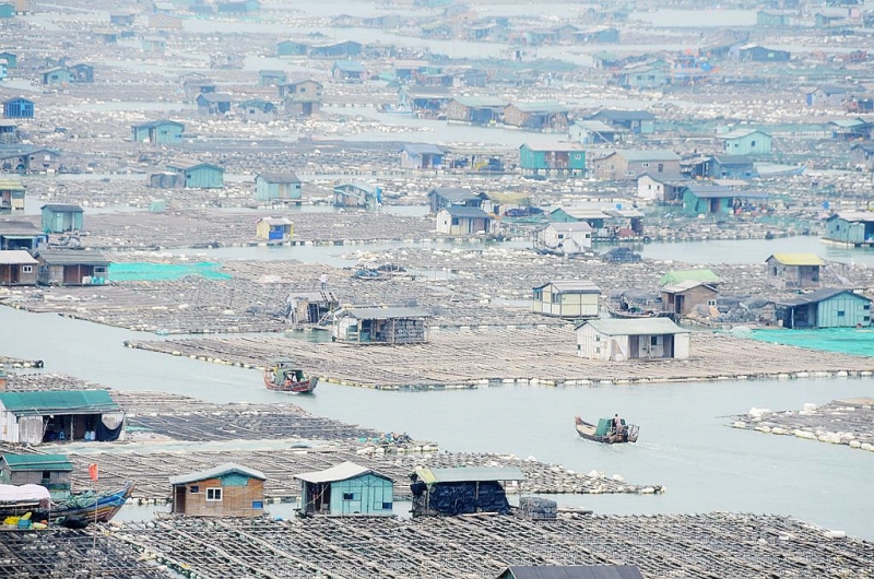 霞浦人口_碧利斯可能13时许登陆福建 对温州影响明显